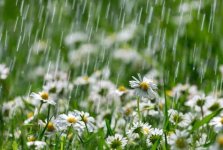 featured-img.jpg