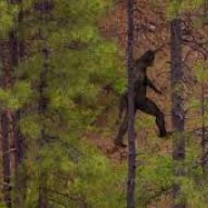 Texasbigfoot