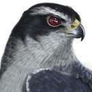horninoregon