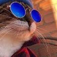 DiegoCarter