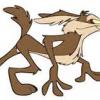 TexCoyote