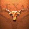TEXAS GUY